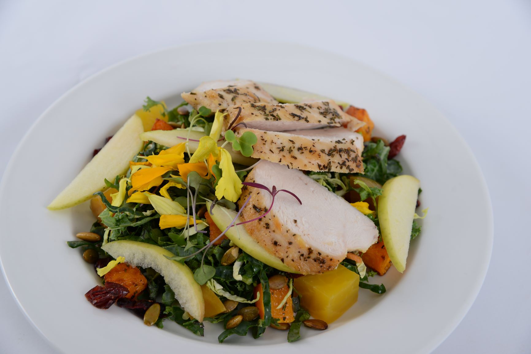 Autumn Harvest Salad w/ Chicken or Salmon